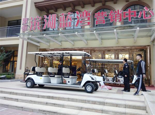 電動(dòng)觀光高爾夫球車(chē)