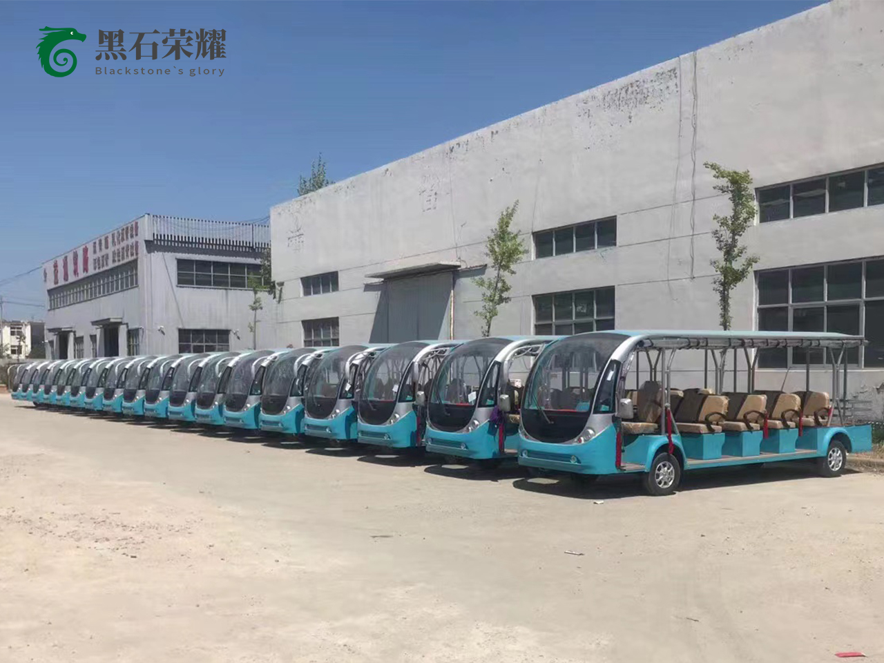 電動(dòng)觀光車景區(qū)用系列