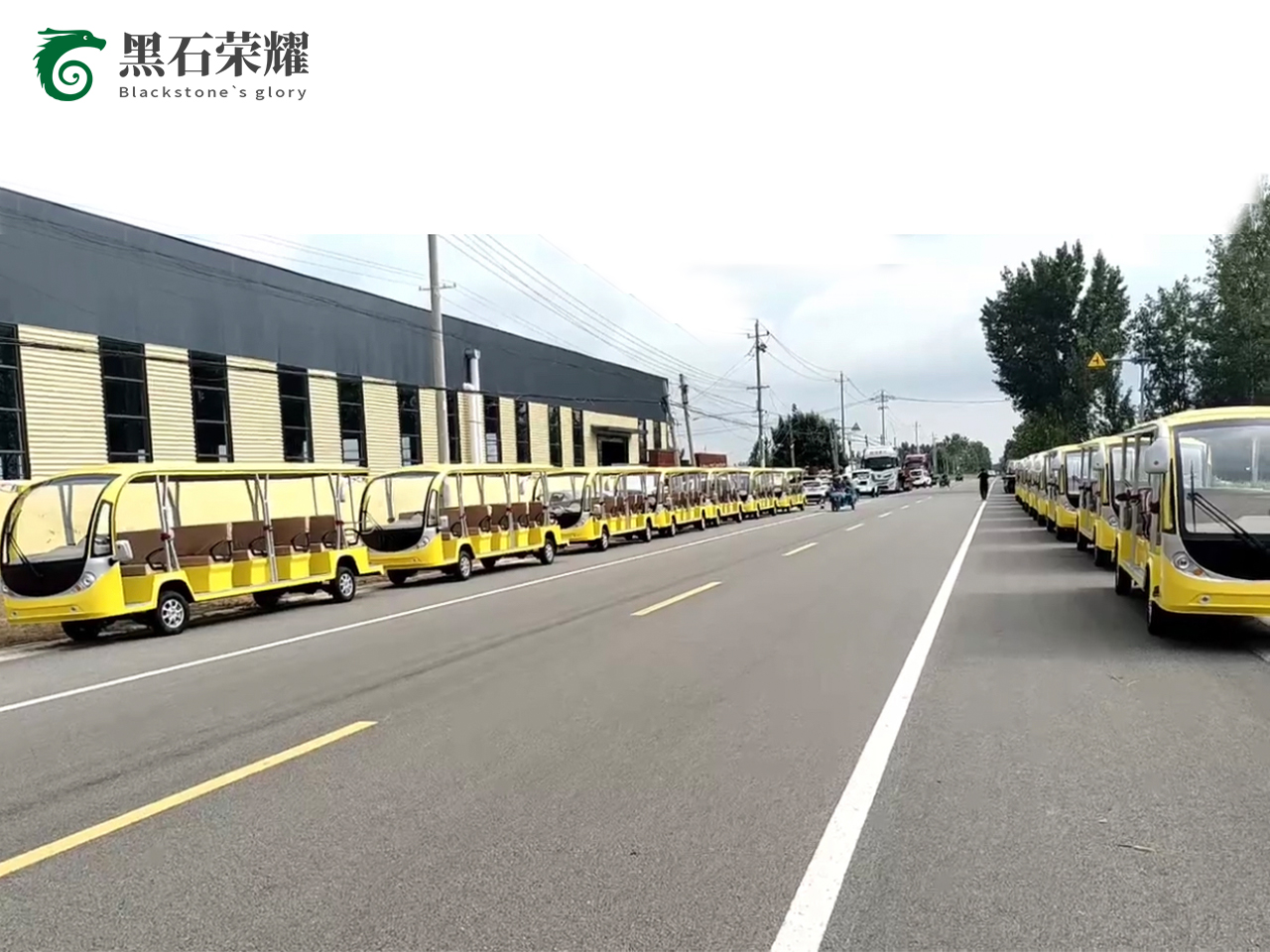 電動(dòng)觀光車景區(qū)用系列